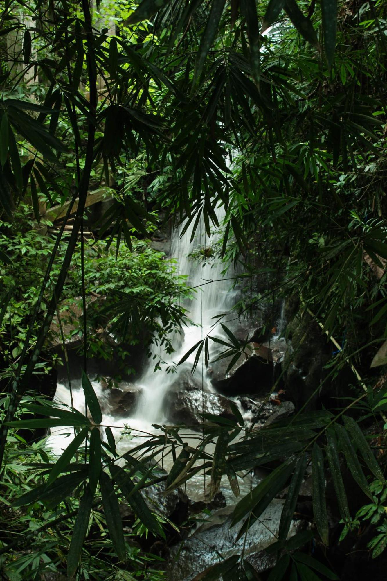 Ubud Hills Villas & Resort تيغالالانغْ المظهر الخارجي الصورة